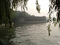 cina 166